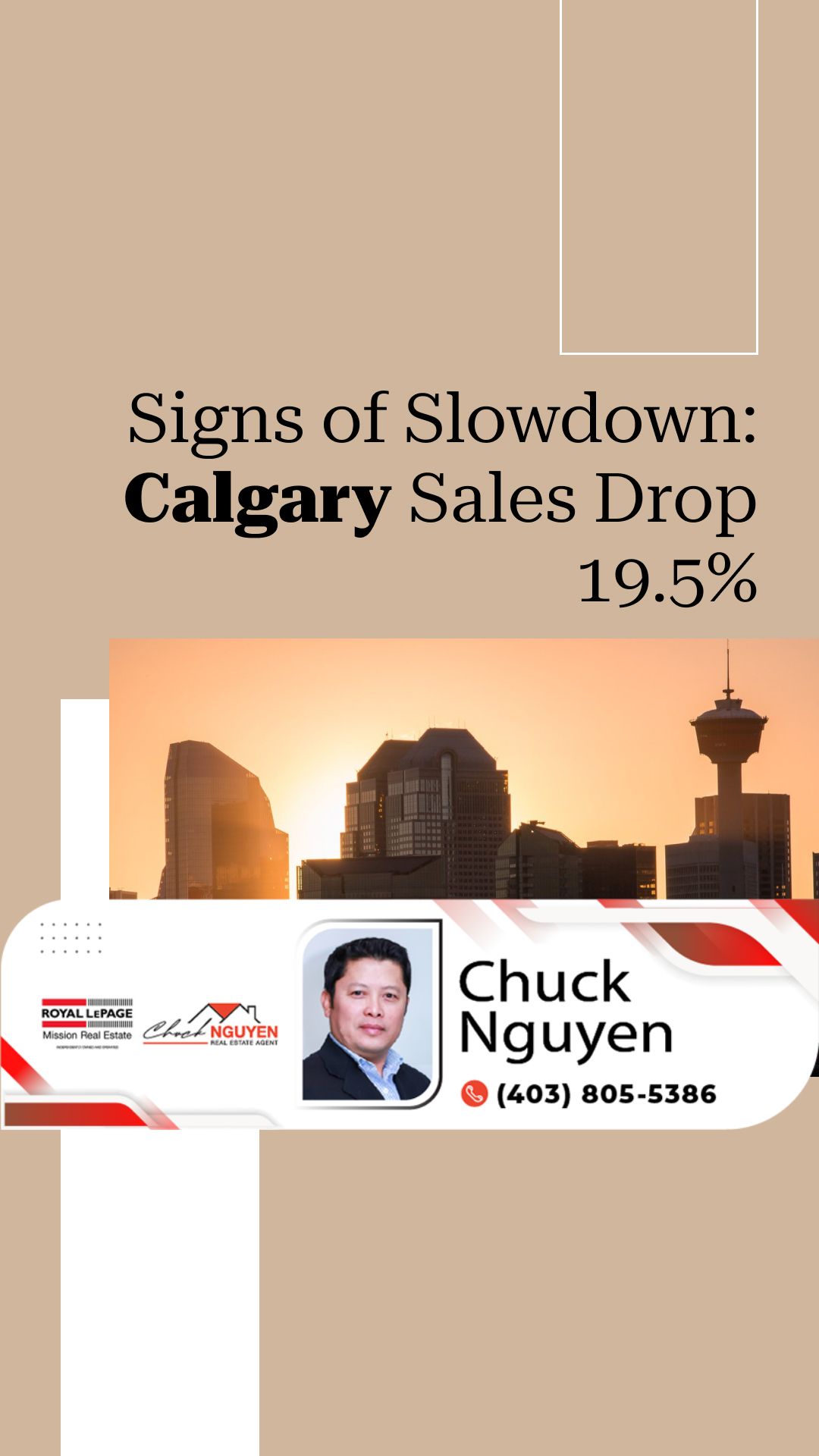 Signs of Slowdown: Calgary Sales Drop 19.5% | Please check out our video.